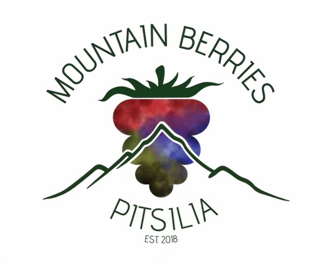 mountain berries pitsilia logo